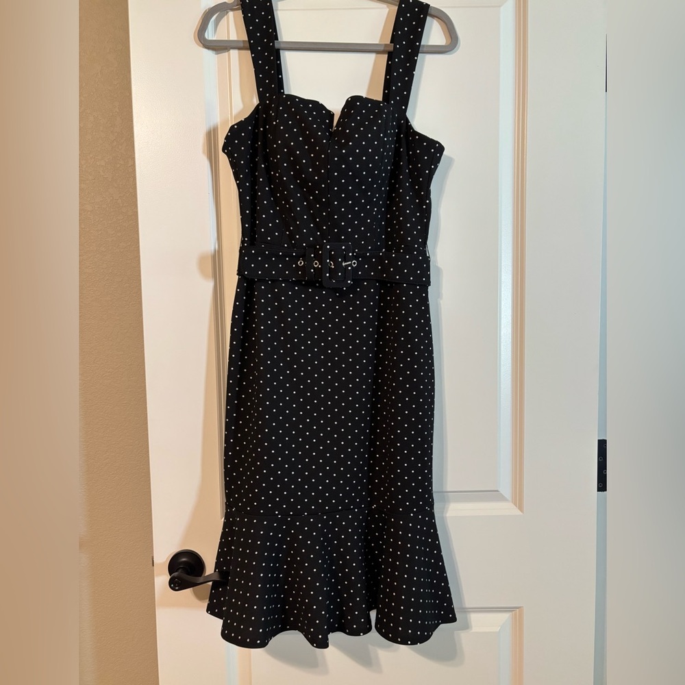 Premier Amour Polka Dot Belted Dress